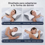 OrtoDream® - El soporte perfecto para tu descanso